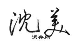骆恒光沈美行书个性签名怎么写