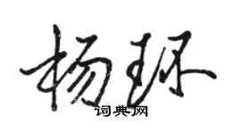骆恒光杨环行书个性签名怎么写