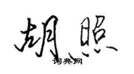 骆恒光胡照行书个性签名怎么写