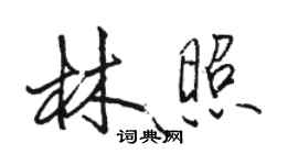 骆恒光林照行书个性签名怎么写