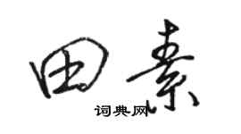 骆恒光田素行书个性签名怎么写