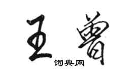 骆恒光王曾行书个性签名怎么写
