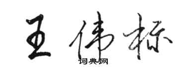 骆恒光王伟标行书个性签名怎么写