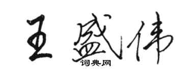 骆恒光王盛伟行书个性签名怎么写
