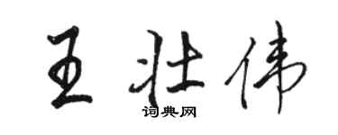 骆恒光王壮伟行书个性签名怎么写