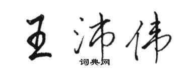骆恒光王沛伟行书个性签名怎么写