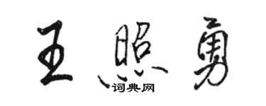 骆恒光王照勇行书个性签名怎么写