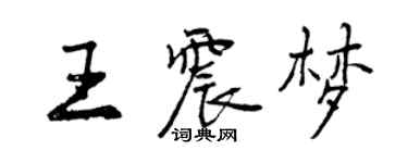 曾庆福王震梦行书个性签名怎么写
