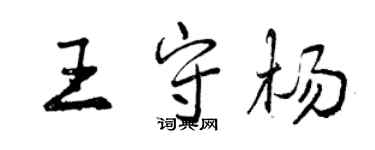 曾庆福王守杨行书个性签名怎么写