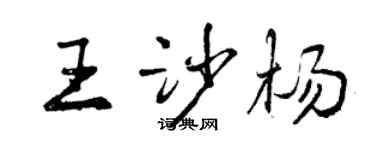 曾庆福王沙杨行书个性签名怎么写