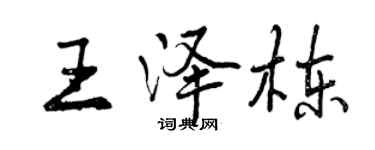 曾庆福王泽栋行书个性签名怎么写