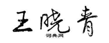 曾庆福王晓青行书个性签名怎么写