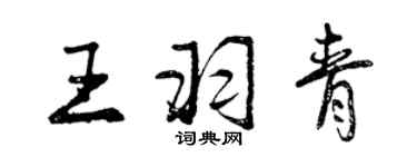 曾庆福王羽青行书个性签名怎么写