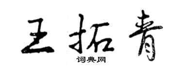 曾庆福王拓青行书个性签名怎么写