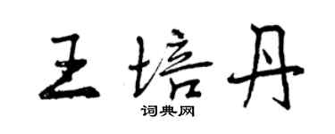 曾庆福王培丹行书个性签名怎么写