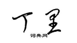 梁锦英丁里草书个性签名怎么写