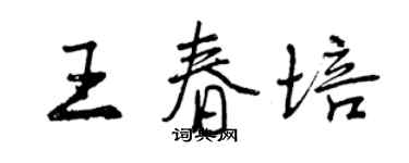 曾庆福王春培行书个性签名怎么写