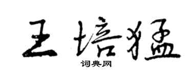 曾庆福王培猛行书个性签名怎么写