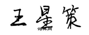 曾庆福王星策行书个性签名怎么写