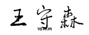 曾庆福王守森行书个性签名怎么写