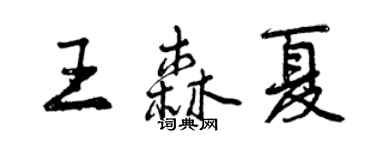 曾庆福王森夏行书个性签名怎么写