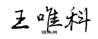 曾庆福王唯科行书个性签名怎么写