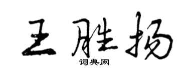 曾庆福王胜扬行书个性签名怎么写