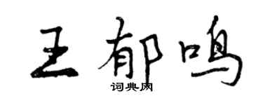 曾庆福王郁鸣行书个性签名怎么写