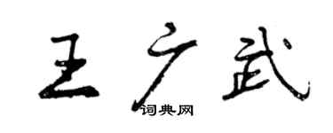 曾庆福王广武行书个性签名怎么写