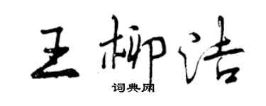 曾庆福王柳洁行书个性签名怎么写