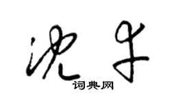 梁锦英沈幸草书个性签名怎么写
