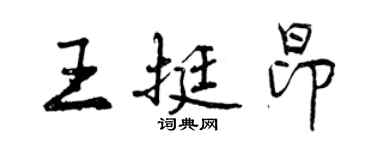 曾庆福王挺昂行书个性签名怎么写