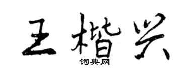 曾庆福王楷兴行书个性签名怎么写