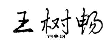 曾庆福王树畅行书个性签名怎么写