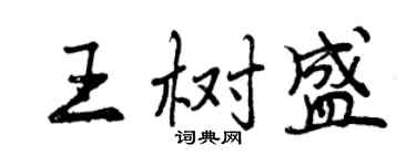 曾庆福王树盛行书个性签名怎么写