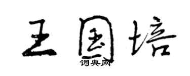 曾庆福王国培行书个性签名怎么写