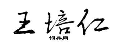 曾庆福王培仁行书个性签名怎么写