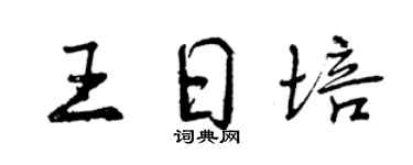 曾庆福王日培行书个性签名怎么写