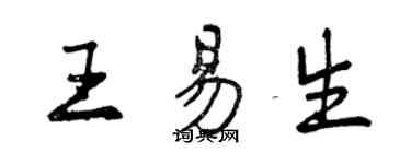 曾庆福王易生行书个性签名怎么写