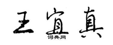 曾庆福王宜真行书个性签名怎么写
