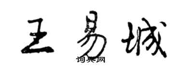曾庆福王易城行书个性签名怎么写