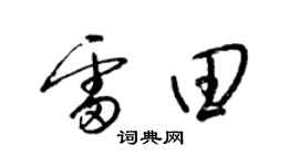 梁锦英雷田草书个性签名怎么写