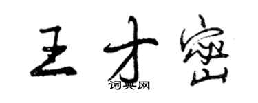 曾庆福王才密行书个性签名怎么写