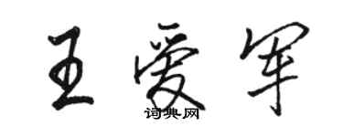 骆恒光王爱军行书个性签名怎么写