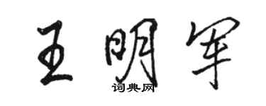 骆恒光王明军行书个性签名怎么写