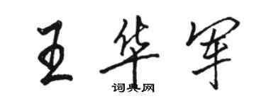 骆恒光王华军行书个性签名怎么写