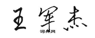 骆恒光王军杰行书个性签名怎么写