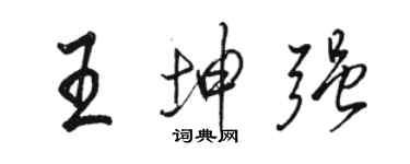 骆恒光王坤强行书个性签名怎么写