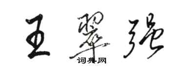 骆恒光王翠强行书个性签名怎么写