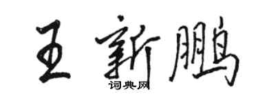 骆恒光王新鹏行书个性签名怎么写